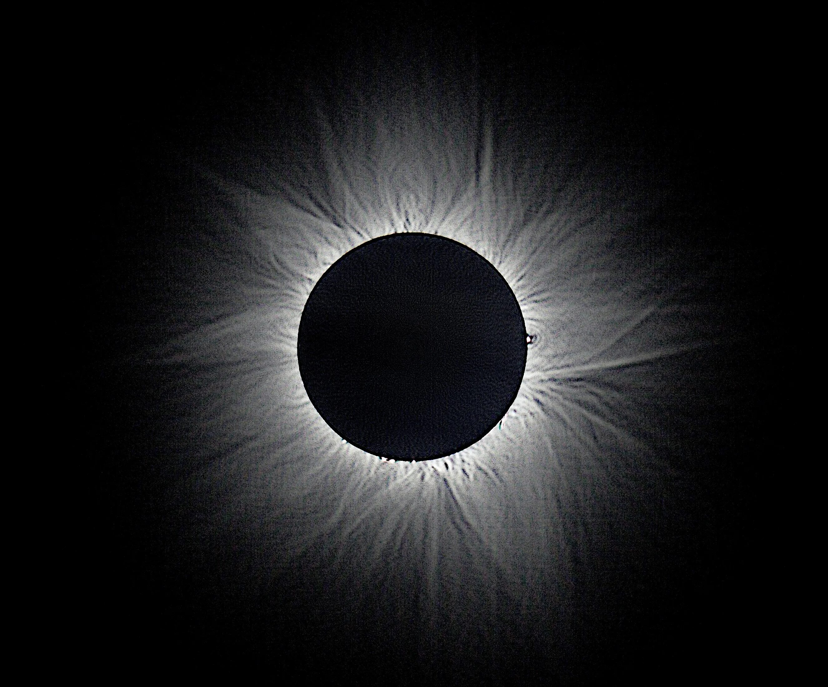 Округлое затемнение. Солнечное затмение корона солнца. Solar Eclipse Corona. Солнечное затмение Солнечная корона. Затмение солнца хромосфера.