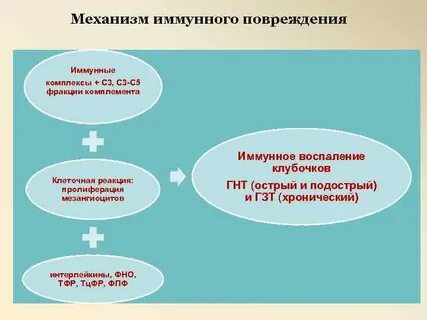 Повреждение иммунными комплексами