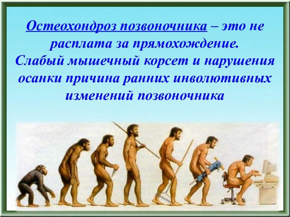 Прямохождение. Картина эволюции человека. Прямохождение Эволюция. Проблемы прямохождения. Возникновение прямохождения