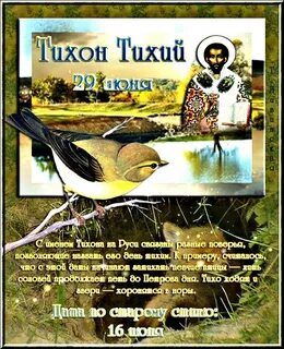 Тихий день