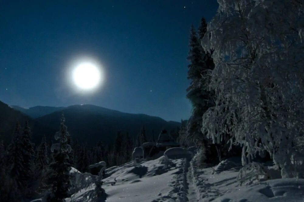 Луна зимой ночью. Зима ночь. Зимний ночной пейзаж. Зимний лес ночью. Луна над тайгой.