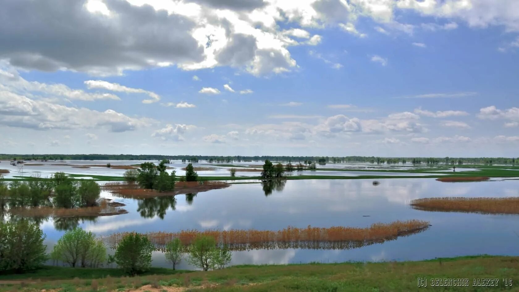 Село волго. Река волга волго-ахтубинская пойма. волго-ахтубинская пойма природный парк. волга ахтубинская пойма. ахтубинская пойма волгоград.
