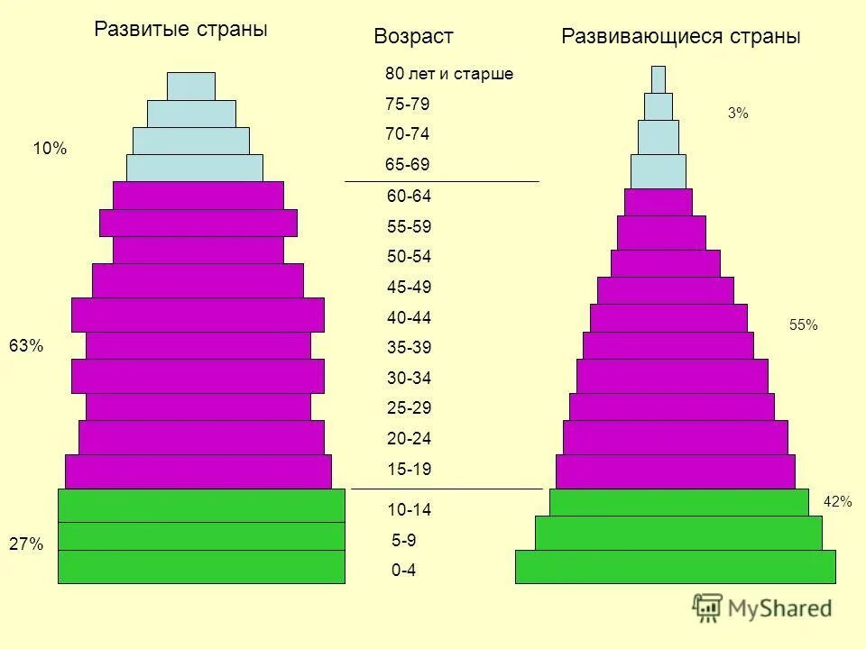 Какой возраст пирамид