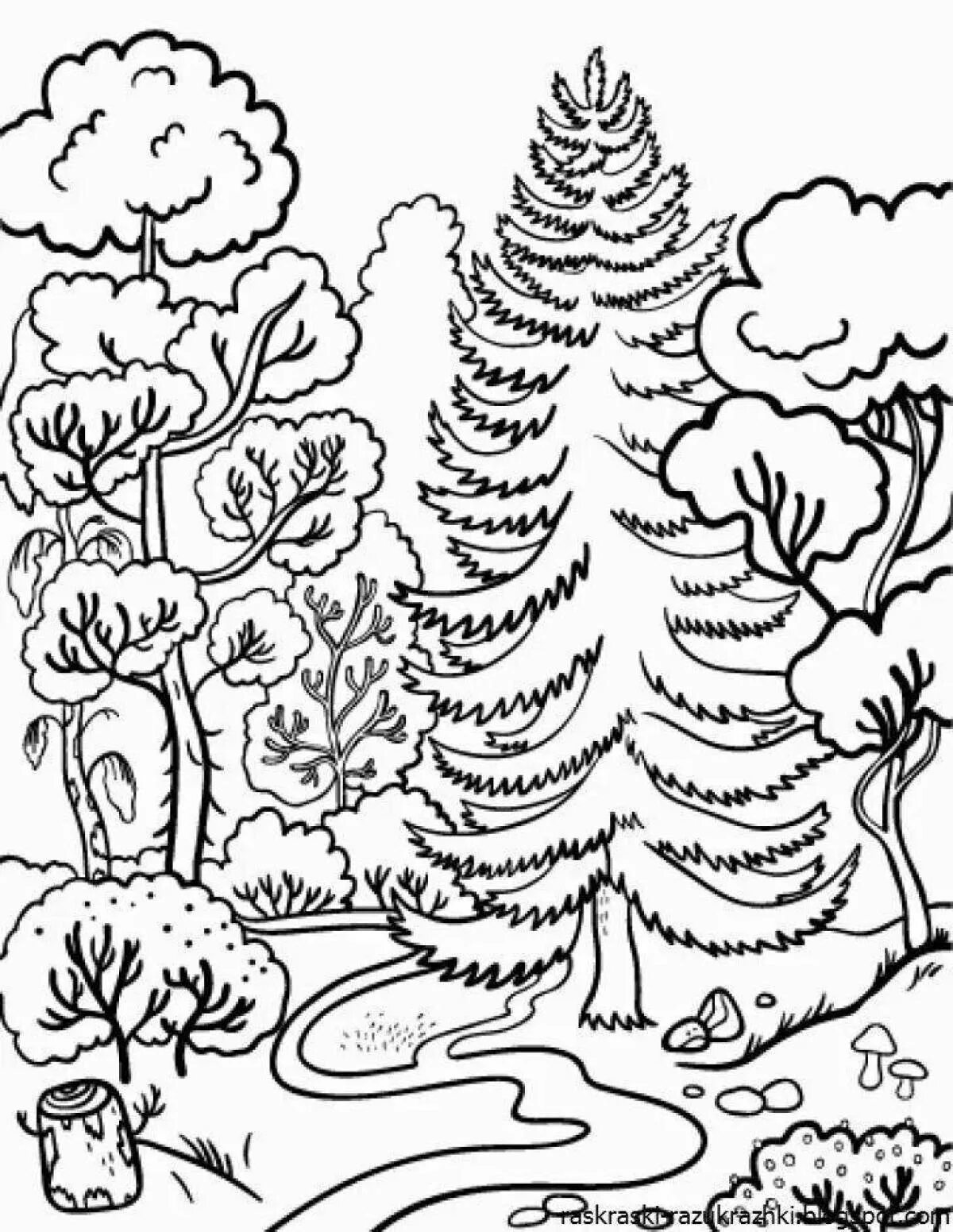 Сосна раскраска. Раскраска деревья и кустарники. Хвойные деревья 1 класс задания для детей. Деревья занятия для дошкольников. В роще 700 берёз и 300 сосен.
