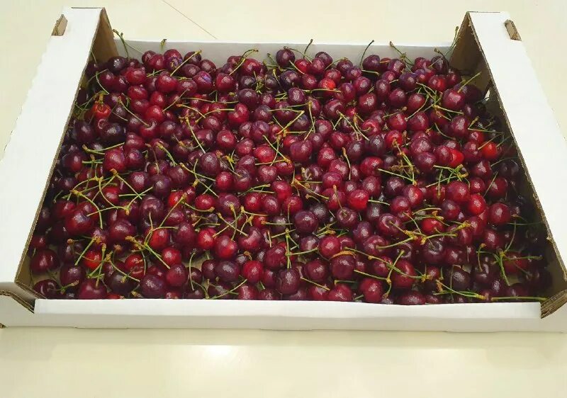Ящик с ягодами. Черешня в пластиковом ящике. Черешня в ящиках. Черешня ящик сколько кг. Черешня ящик сколько кг.