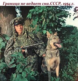 Пограничные войска советского союза