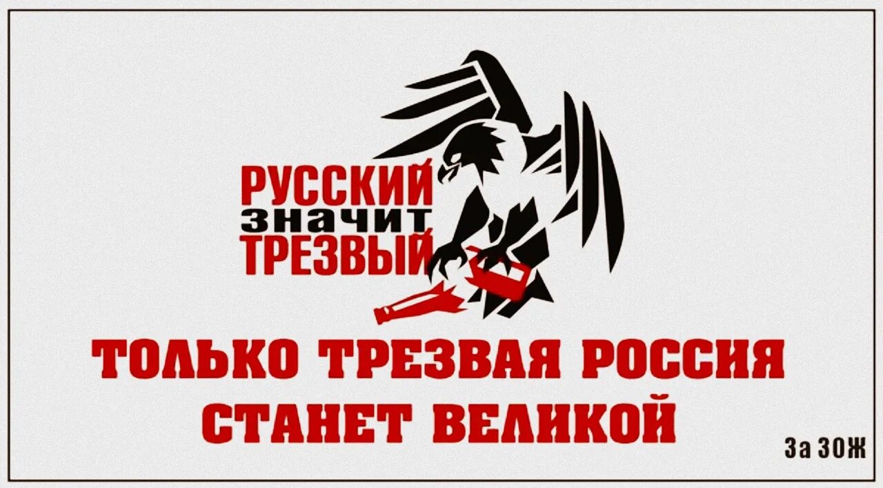 Поколение трезвых