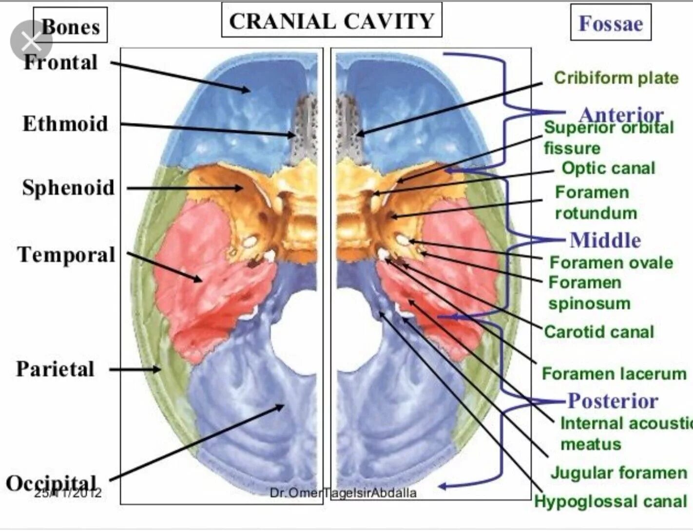 Internal standard