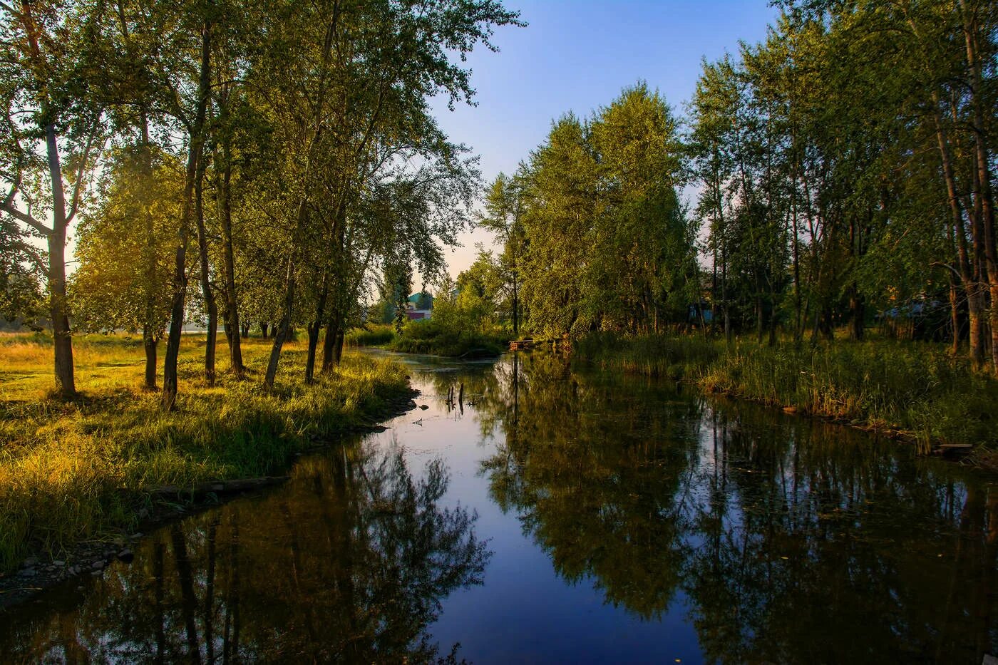 Тихая речка. Тихая река. Фотография речки летом. Река Тихая сосна. Время тихая река