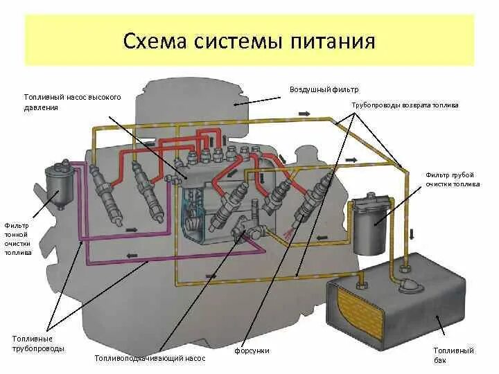 Топливная система питания ЯМЗ 236. Система питания дизельного двигателя ЯМЗ 236. Двигатель ЯМЗ 236 топливная система. Топливная система двигателя ЯМЗ 238. Устройство системы питания дизельного