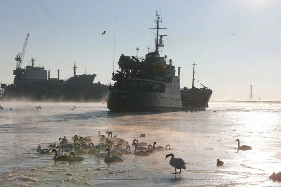 Погода в калининграде на неделю. Amindis prognozi saqartveloshi 25 dgis. День города балтийск. Погода в казани на 3 дня. Прогноз погоды на неделю.