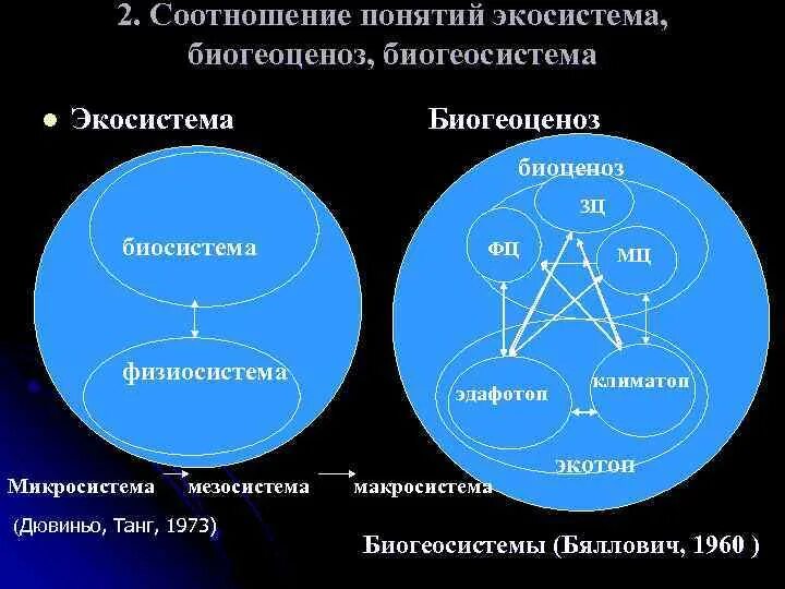 В отличие от экосистем биогеоценозы. Соотношение понятий «экосистема» и «биогеоценоз».. Понятия и концепции экосистем. Понятие о биогеоценозе и экосистеме. Соотношение понятий биоценоз биогеоценоз экосистема.