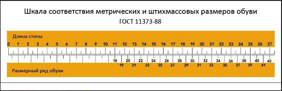 Таблица соответствия размеров стопы Размерная сетка женской обуви таблица и как ею пользоваться