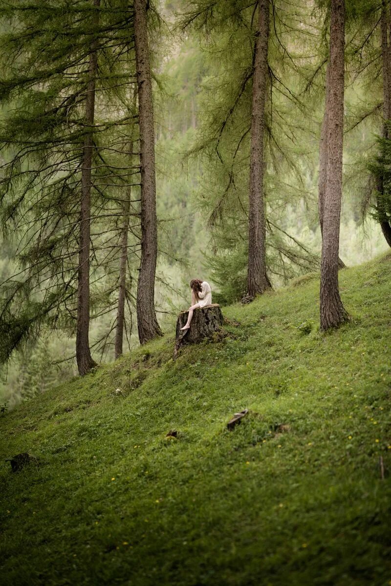 Одинокий лес. Одинокий лес. Одиночество в лесу. Уединение в лесу. Парень в лесу.