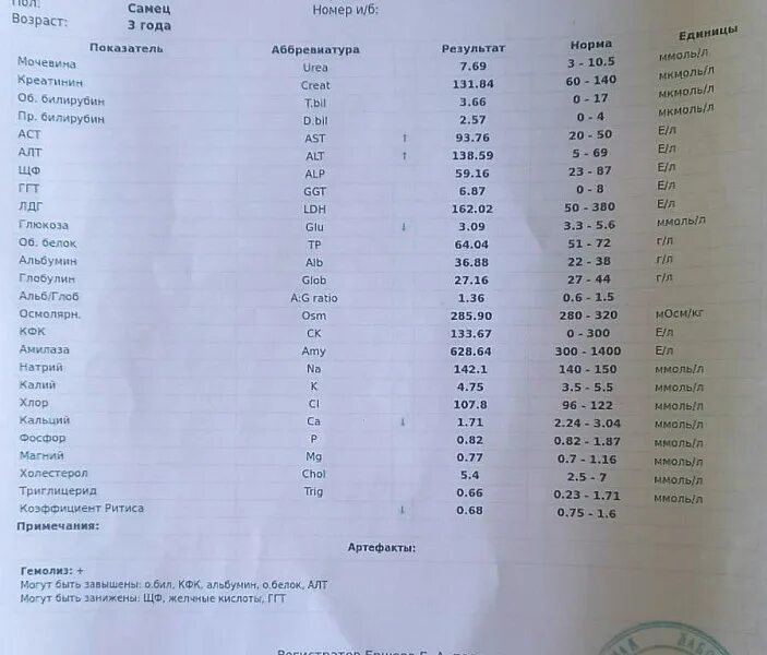 Алт и билирубин повышены аст в норме. Биохимический анализ крови норма. Расшифровка биохимического анализа. Какой показатель АСТ считается низким?. Перечень Биохим. Анализов по углублённой диспансеризации.