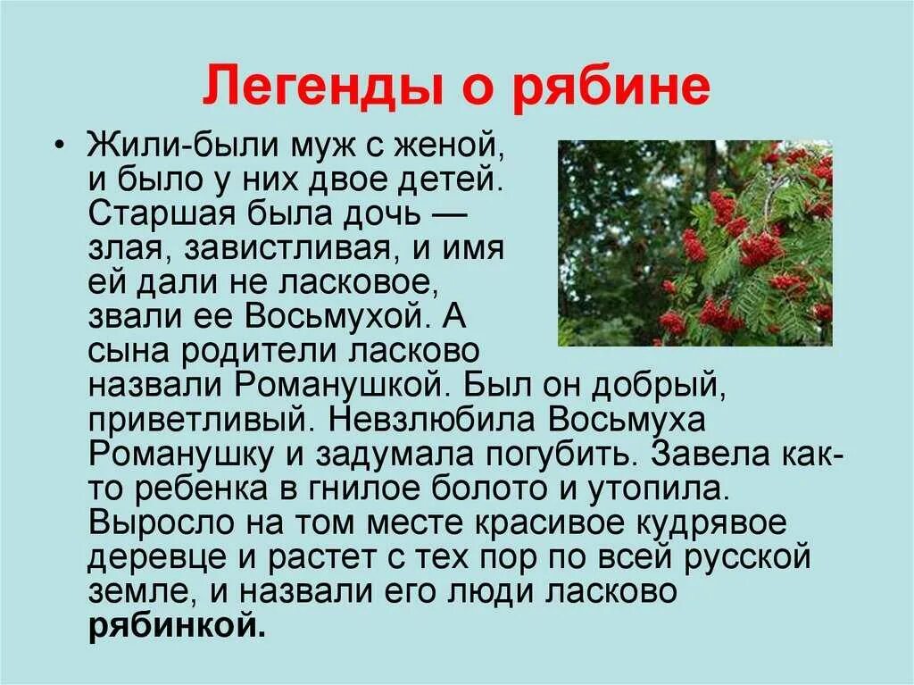 Происхождение названий растений