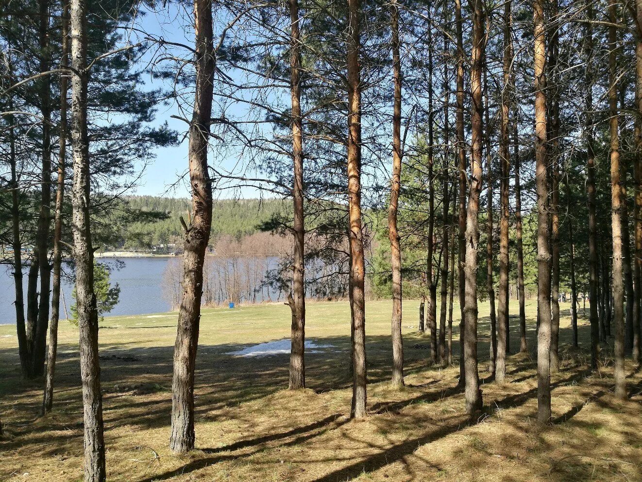 Озеро юлово инзенский. Село юлово ульяновская область озеро. Погода в юлово. Юловский пруд пензенская область. Церковь юлово ульяновская область.