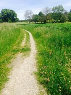 Grass road