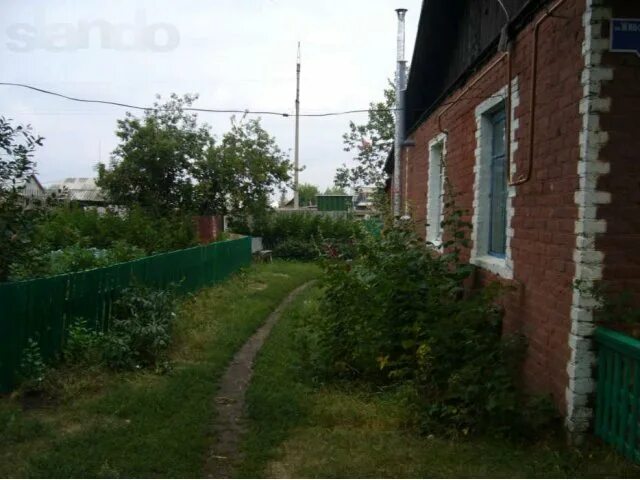 Ул луговая омск. Омск речка камышловка рыбалка. Погода луговое омская. Погода луговое омская. Погода луговое омская.