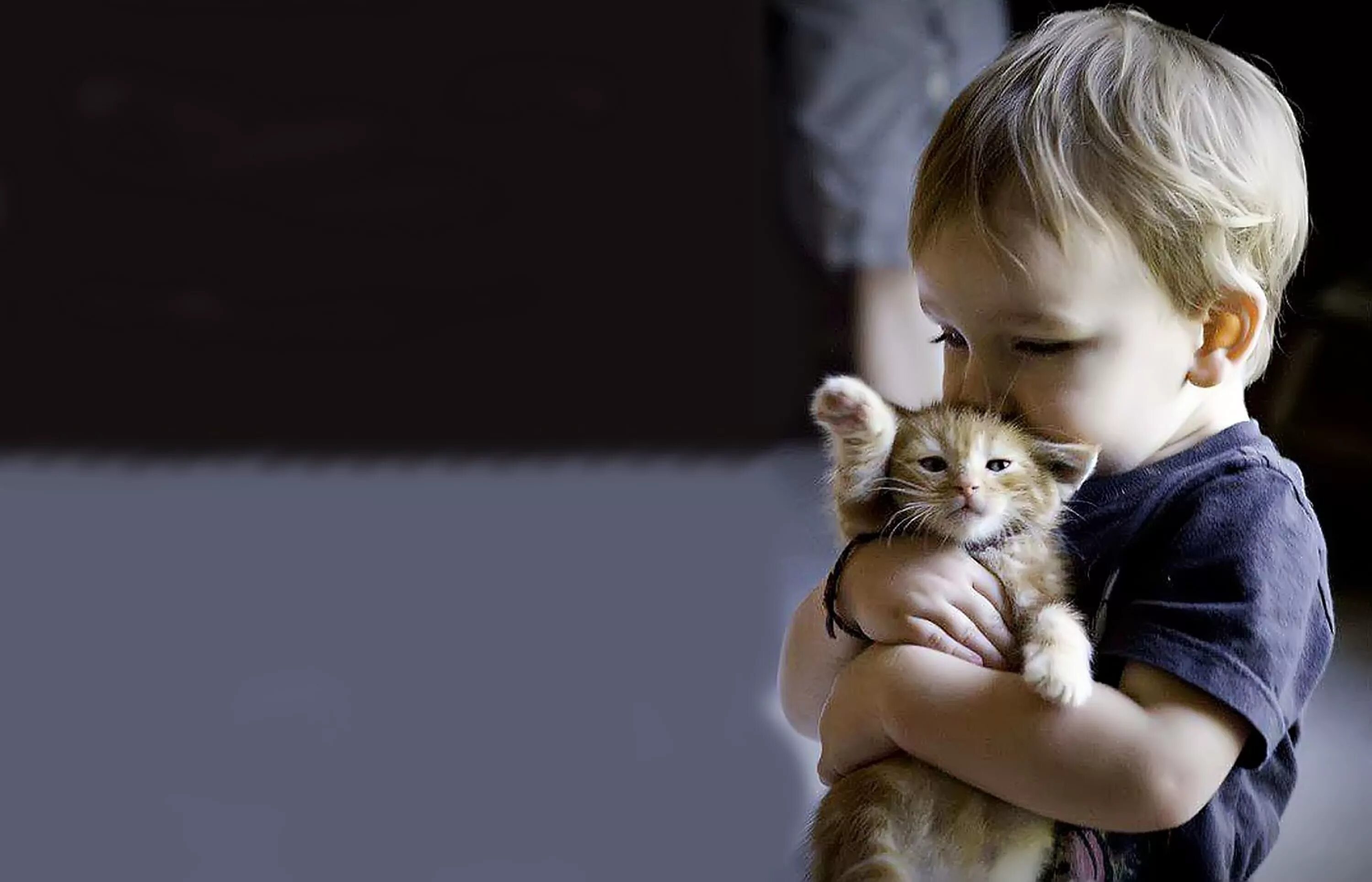 Кот не любит детей. Котёнок-ребёнок. Кот для детей. Мальчик с котом.