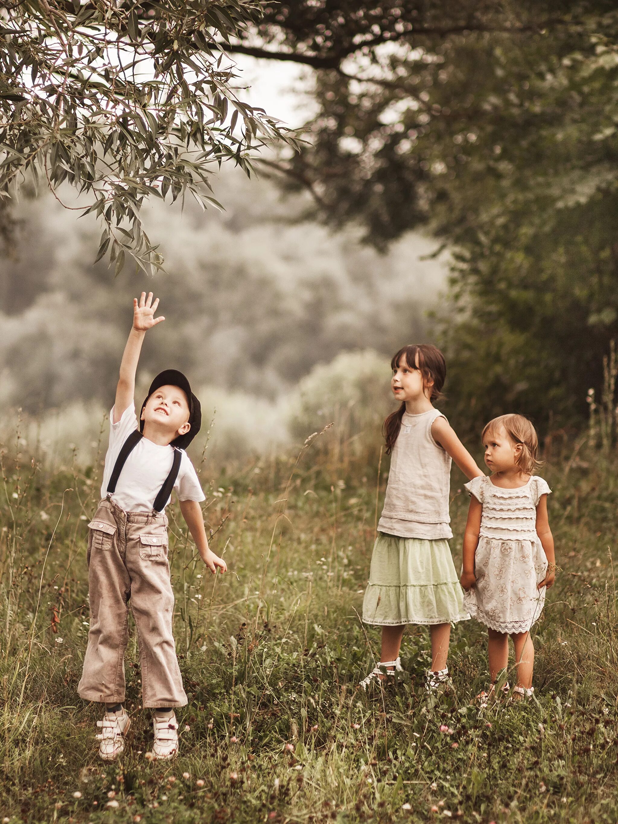 Картинка 3 мальчика. Дети и природа. При детях. Фотосессия мальчика на природе. Трое детей.