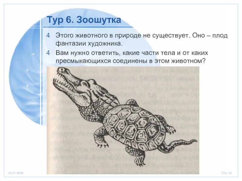 Зоошутка. Зоошутка Членистоногие. Зоошутка по биологии. Зоошутка рисунок. Биология 7 класс подумайте