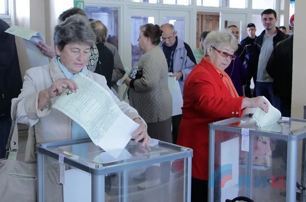 Явка избирателей во Владимирской области. Выборы губернатора Владимирской области. Явка избирателей. Выборы фото. Явка людей на выборах