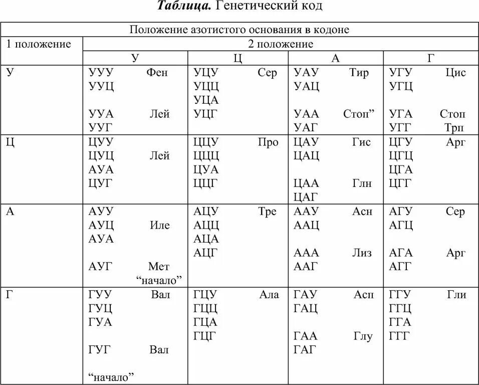 Длина генетического кода. Таблица генетического кода ДНК. Таблица генетического кода и-РНК. Таблица генетического кода ИРНК. Генетический код таблица биология 10 класс.