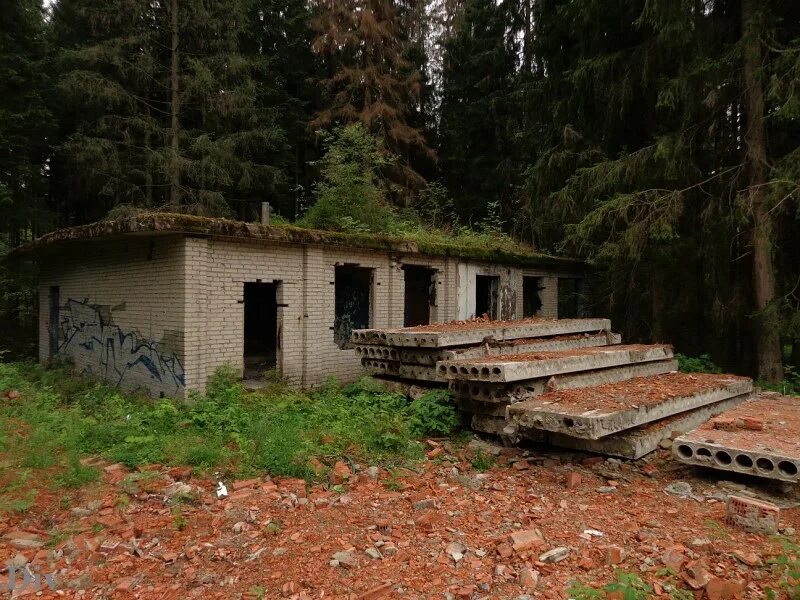 Дол в луге. Лужский заброшенный лагерь. Пионерский лагерь атмосфера Луга. Заброшенные лагеря в Лужском районе. Заброшенный лагерь атмосфера город Луга.