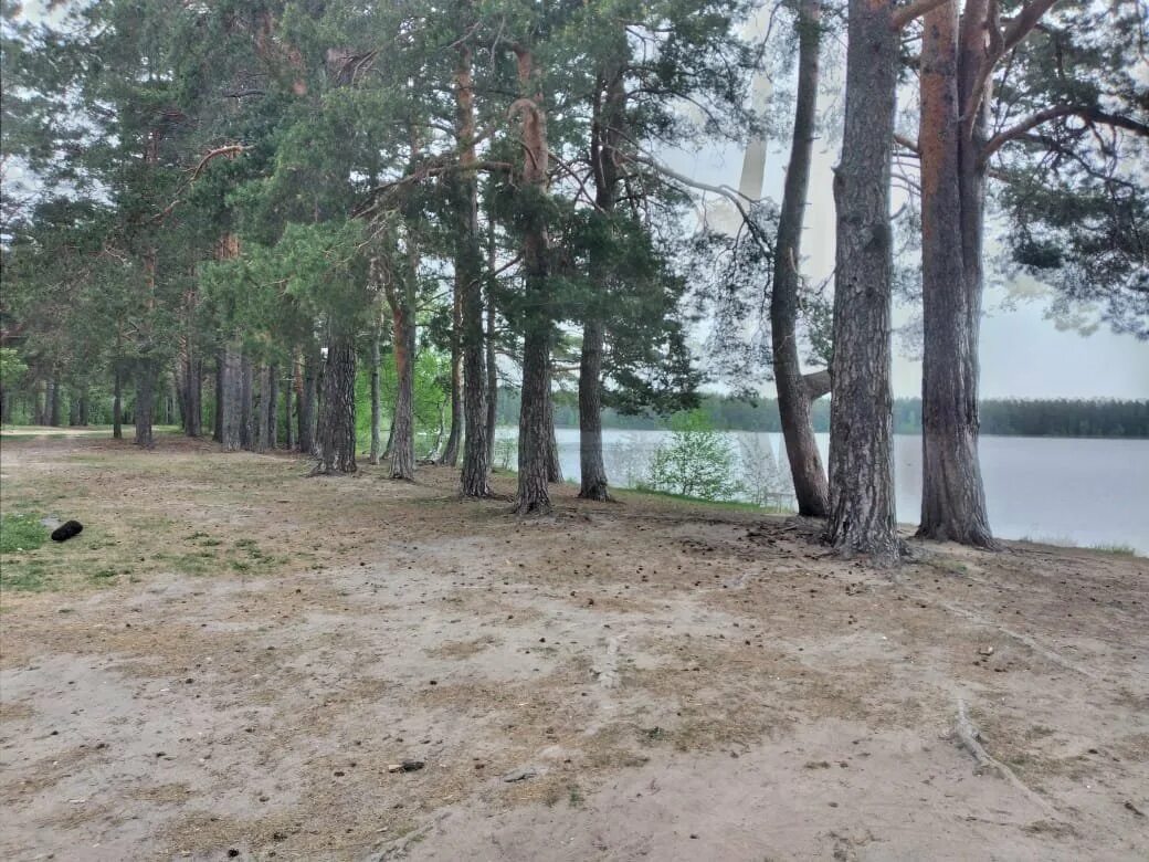 Погода в ларионово. Погода в ларионово. Погода в ларионово. Ленинградская обл. Погода в ларионово.