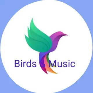 Good bird