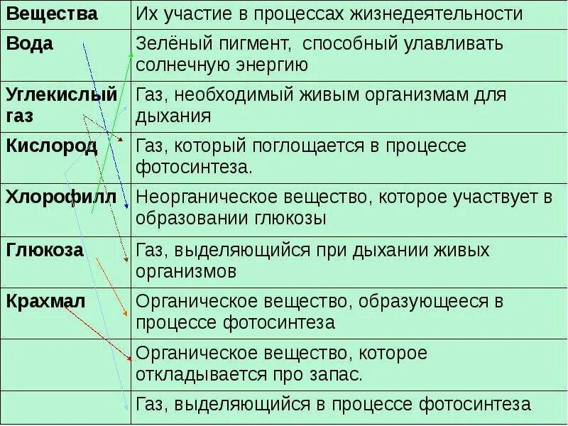 Основные процессы жизнедеятельности клетки таблица