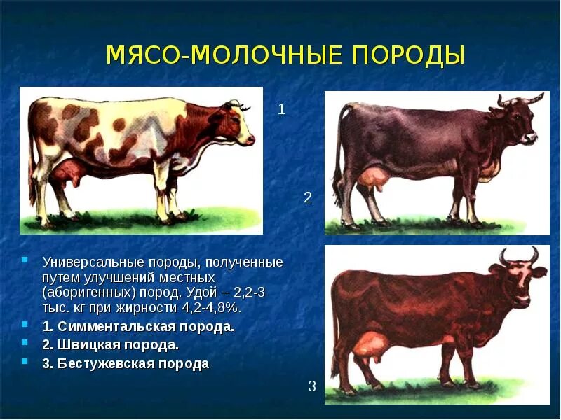 Крупный рогатый скот кто относится
