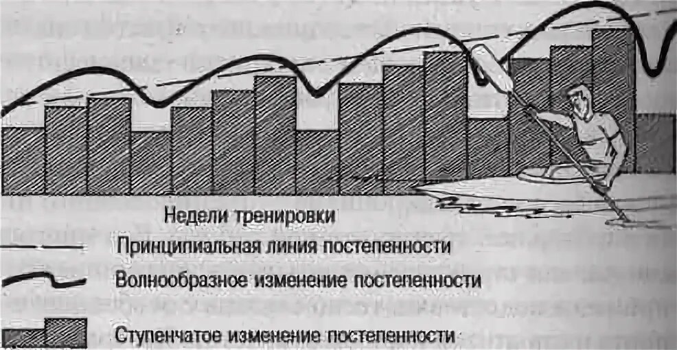 Принцип адаптированного сбалансирования динамики нагрузок. Волнообразность спортивной тренировки. принципы тренировочной нагрузки. формы постепенного повышения нагрузок. волнообразность и цикличность тренировочных нагрузок.