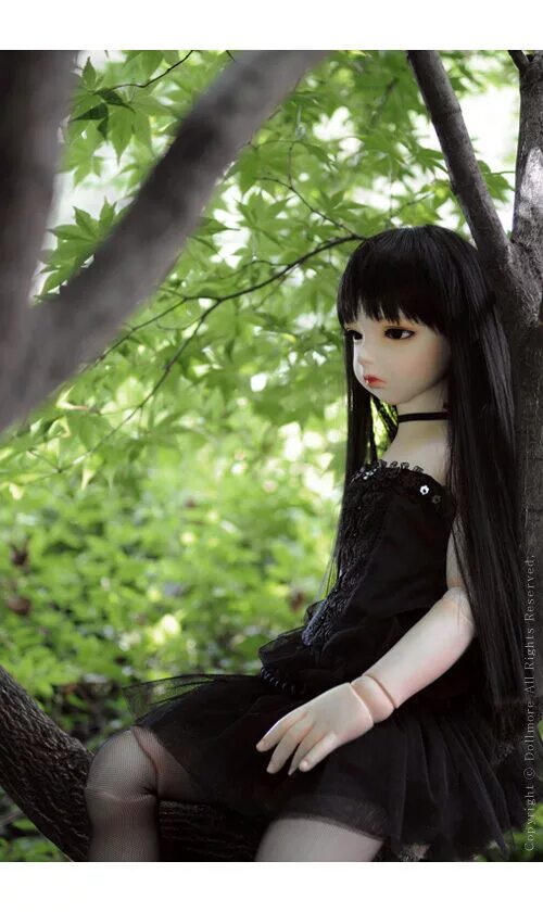 Куклы черные как называется. Куклы bjd в чёрном. бжд кукла с черными волосами. бжд кукла мистика.