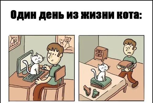 День из жизни дневника