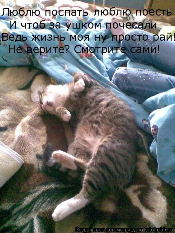 Любящий поспать это. Любящий поспать это