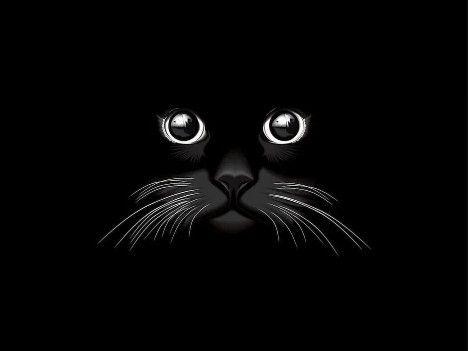 Картинка кот на черном фоне. Картинки с надписями. заставка на телефон не отвлекайся. обои на телефон тебя сюда не звали. че смотришь картинка заставка.