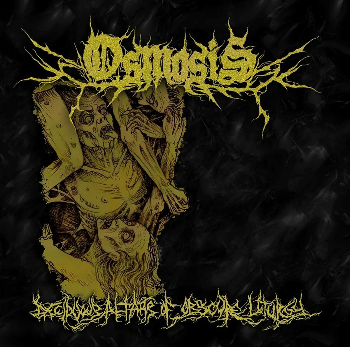 Status aborted. Aborted группа. obscura diluvium.