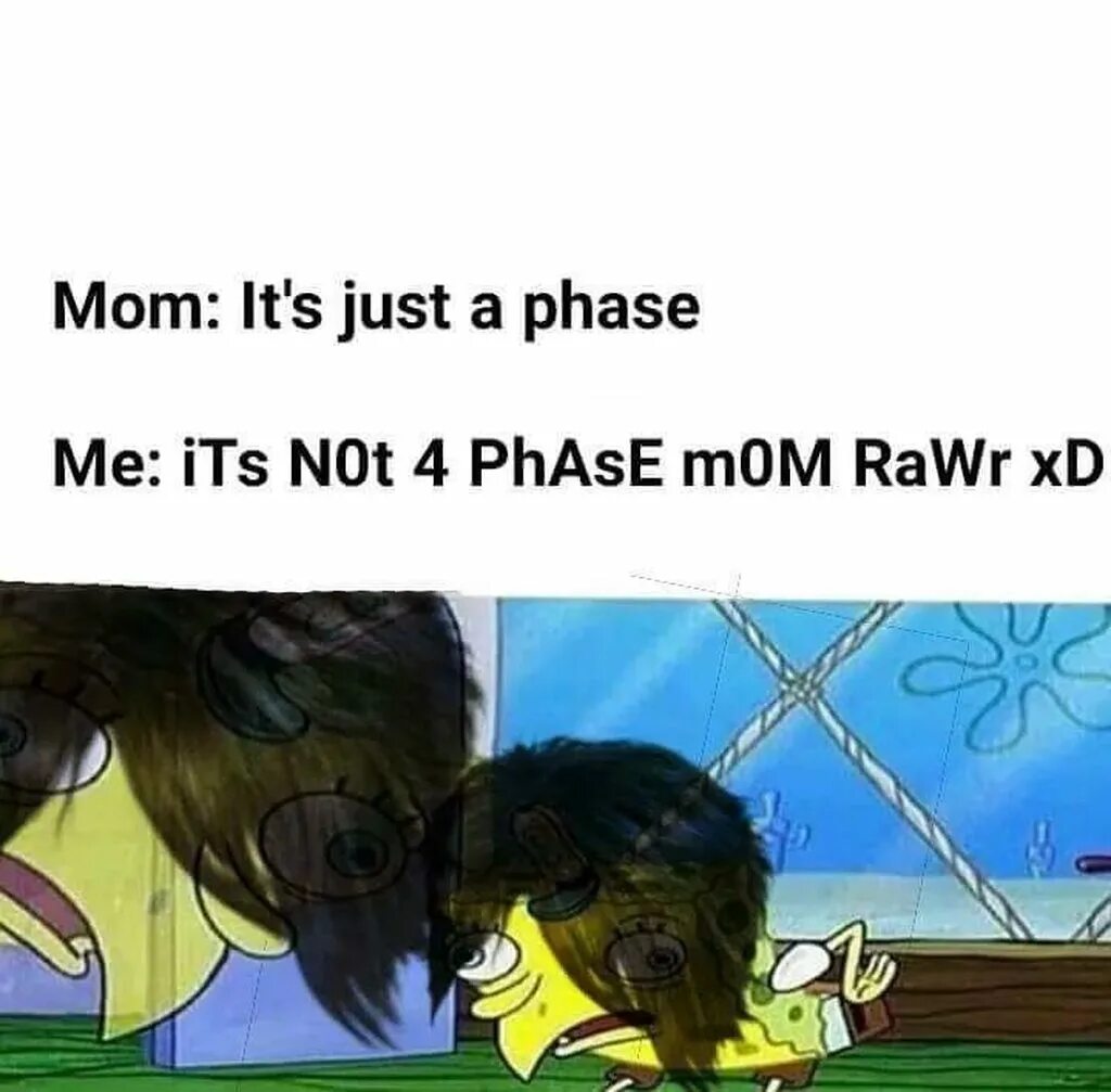 It s not a phase meme. Not a phase. Its just a phase. Mom its just a phase. This is real this is me.