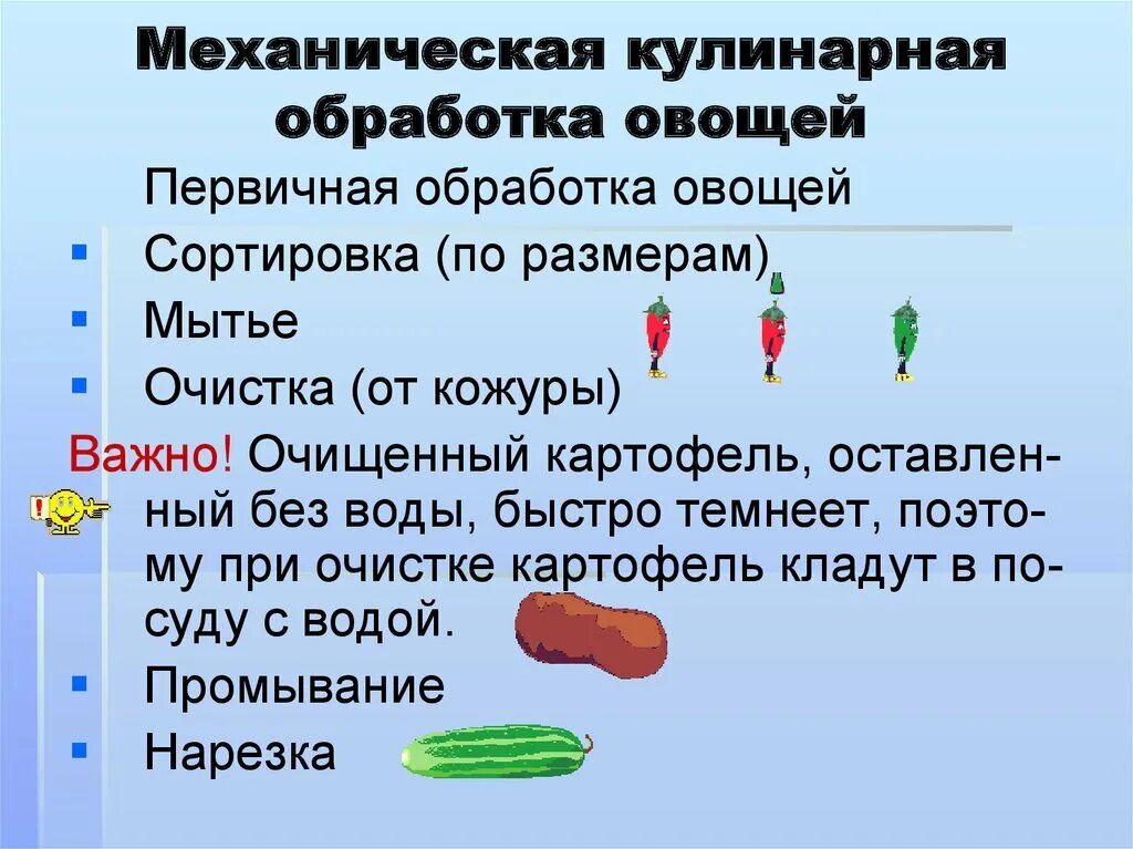 Этапы обработки овощей. Стадии механической обработки овощей таблица. Технология механической кулинарной обработки овощей. Из чего состоит механическая кулинарная обработка овощей. Алгоритм механической обработки овощей.