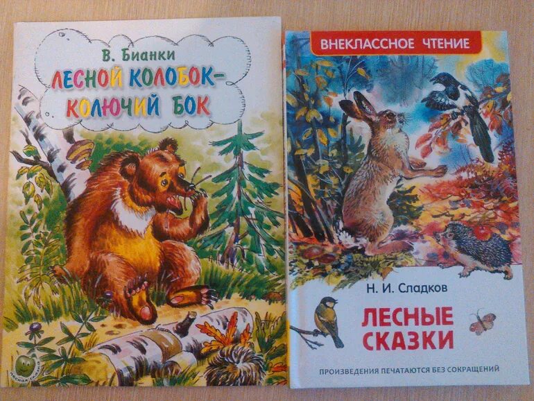 Лесная сказка. Сладков книги для детей.