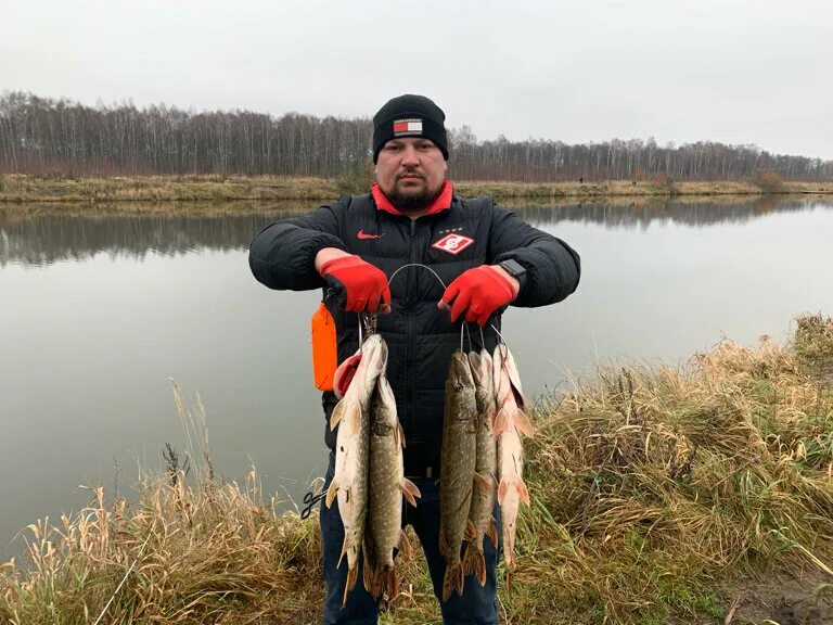 Карповское водохранилище Дмитровский. Озеро Карповское рыбалка. Рыболовство Дмитровский район. Карповское водохранилище рыбалка. Озеро московское рыбалка