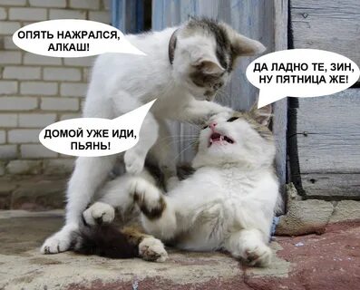 Ладно работать буду