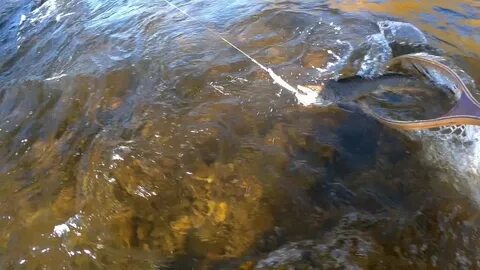 East fishing