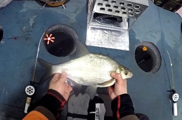 Зимняя рыбалка на Белоярском водохранилище. Подлещик. Рыбалка на Урале. Рыболовное братство.