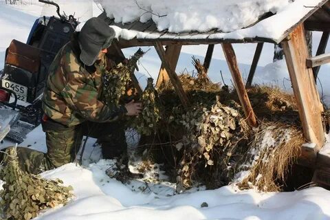 Лесник зима