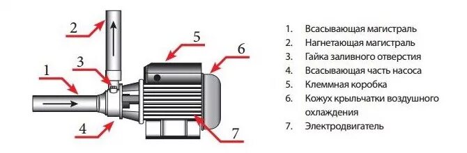 Насос поверхностный вихревой самовсасывающий qb70. Схема насоса Вихрь пн-370. Схема насос поверхностный Вихрь пн-370. Насос Вихрь пн-370 схема подключения. Насос всасывающий и нагнетательный