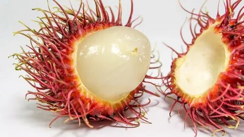 Rambutan fz шаблон кому лень писать