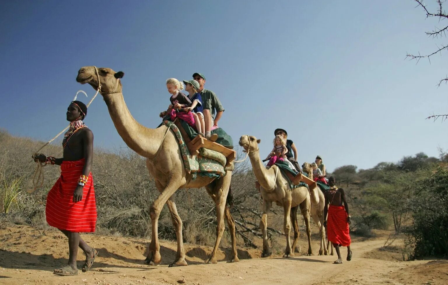 Africa safari. Кения сафари. Туризм Кения Масаи. Африка Кения сафари. Африка Найроби сафари.